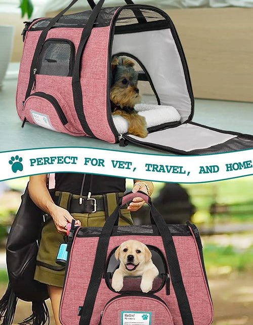 Load image into Gallery viewer, Airline Approved Pet Carrier for Cat, Soft Sided Dog Carrier Small Dog, Cat Travel Supply Accessories Indoor Cats, Ventilated Pet Carrying Bag Medium Large Kitten Puppy, Small Heather White Red
